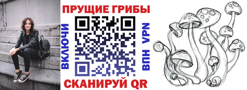 Псилоцибиновые грибы мухоморы  где продают наркотики  Ялуторовск 